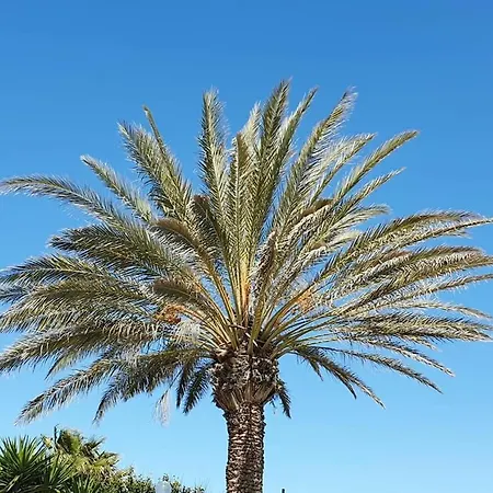Il Canneto Di Selinunte Appartement Marinella di Selinunte