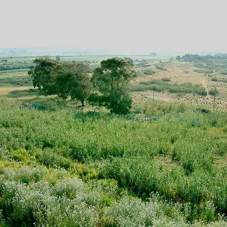 Il Canneto Di Selinunte *