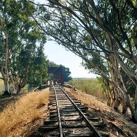 Il Canneto Di Selinunte *