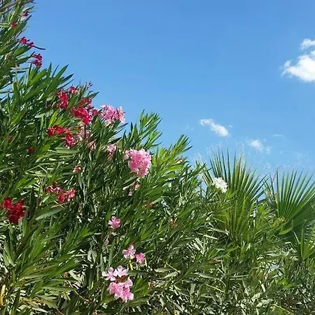 Appartement Il Canneto Di Selinunte