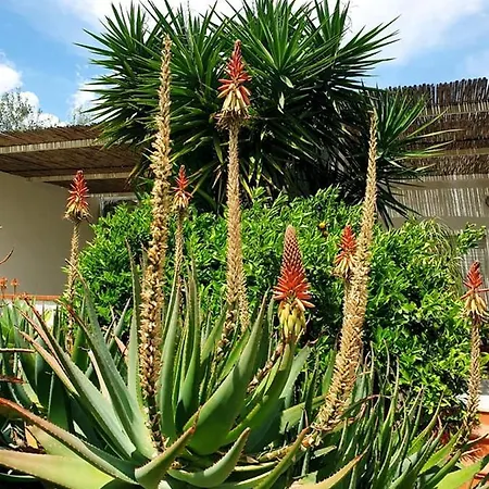 Il Canneto Di Selinunte Appartement *