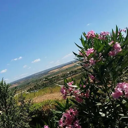 Il Canneto Di Selinunte *